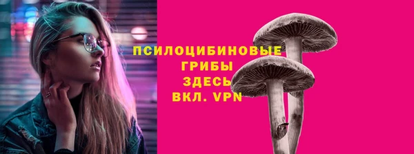 спиды Бутурлиновка