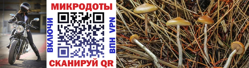 Псилоцибиновые грибы MAGIC MUSHROOMS  kraken ссылки  Зима 
