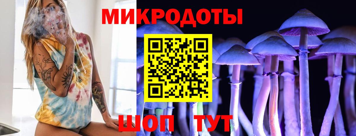 Галлюциногенные грибы MAGIC MUSHROOMS  Вход с VPN  Зима 