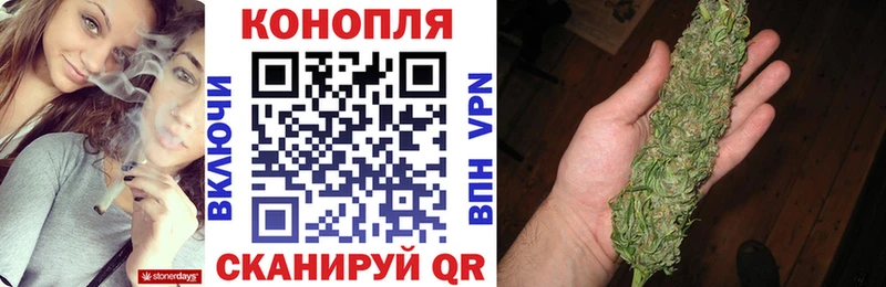 OMG онион  Зима  Конопля семена 